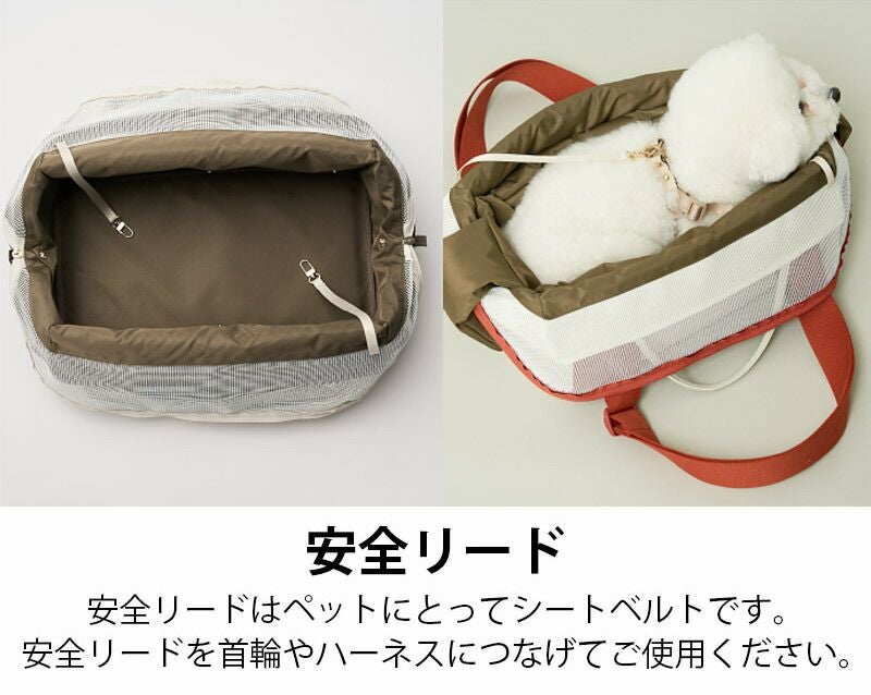 MILLIONG キャリーバッグ | TOZAI NANBOKUYA