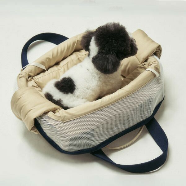 MILLIONG キャリーバッグ | TOZAI NANBOKUYA