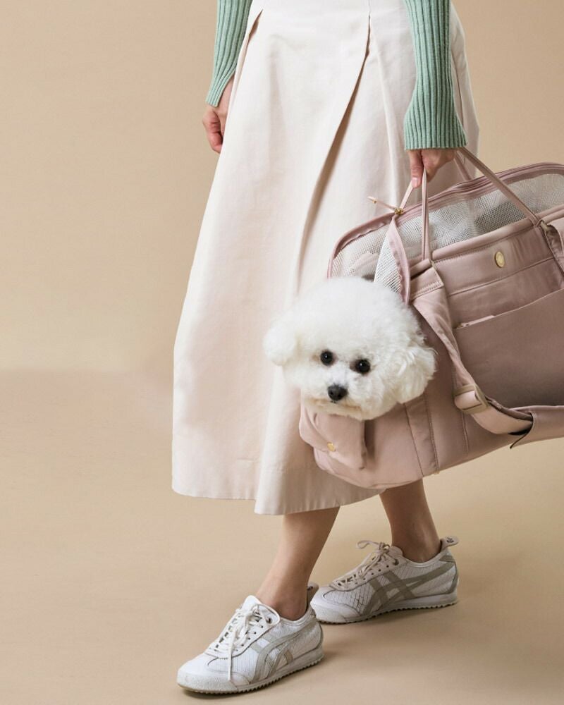 MILLIONG キャリーバッグ | TOZAI NANBOKUYA