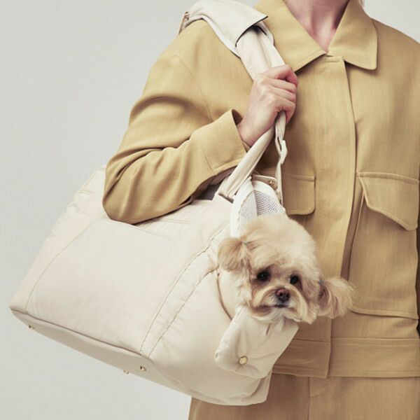 MILLIONG キャリーバッグ | TOZAI NANBOKUYA