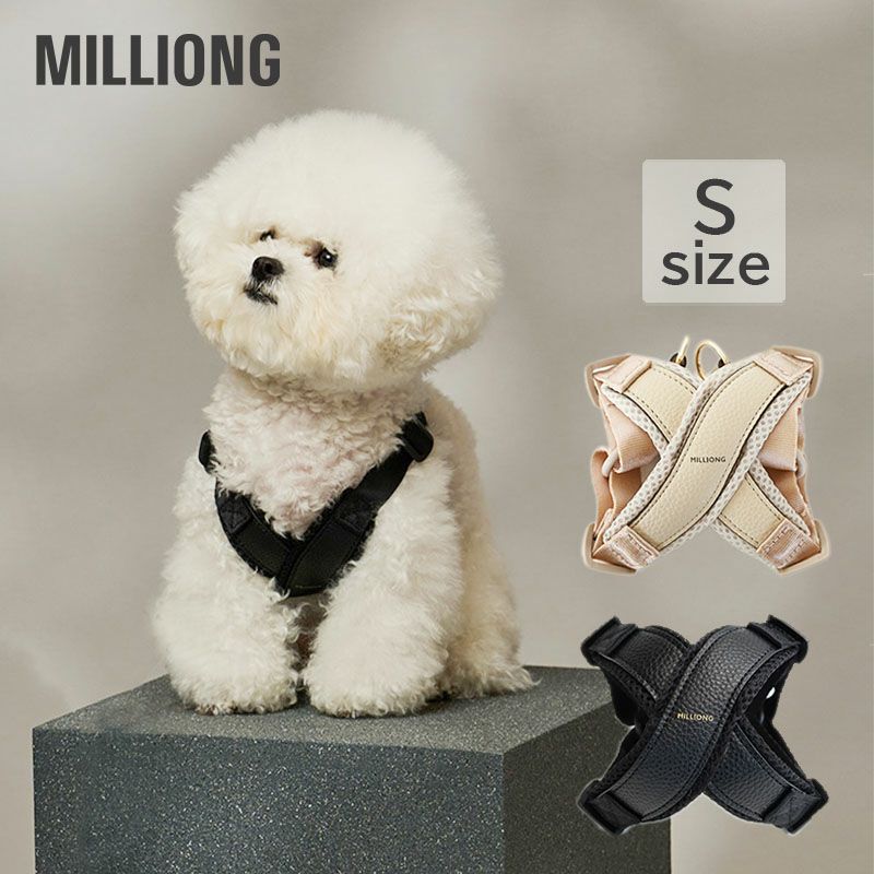 000000011079-01.jpg?size=xl&w=