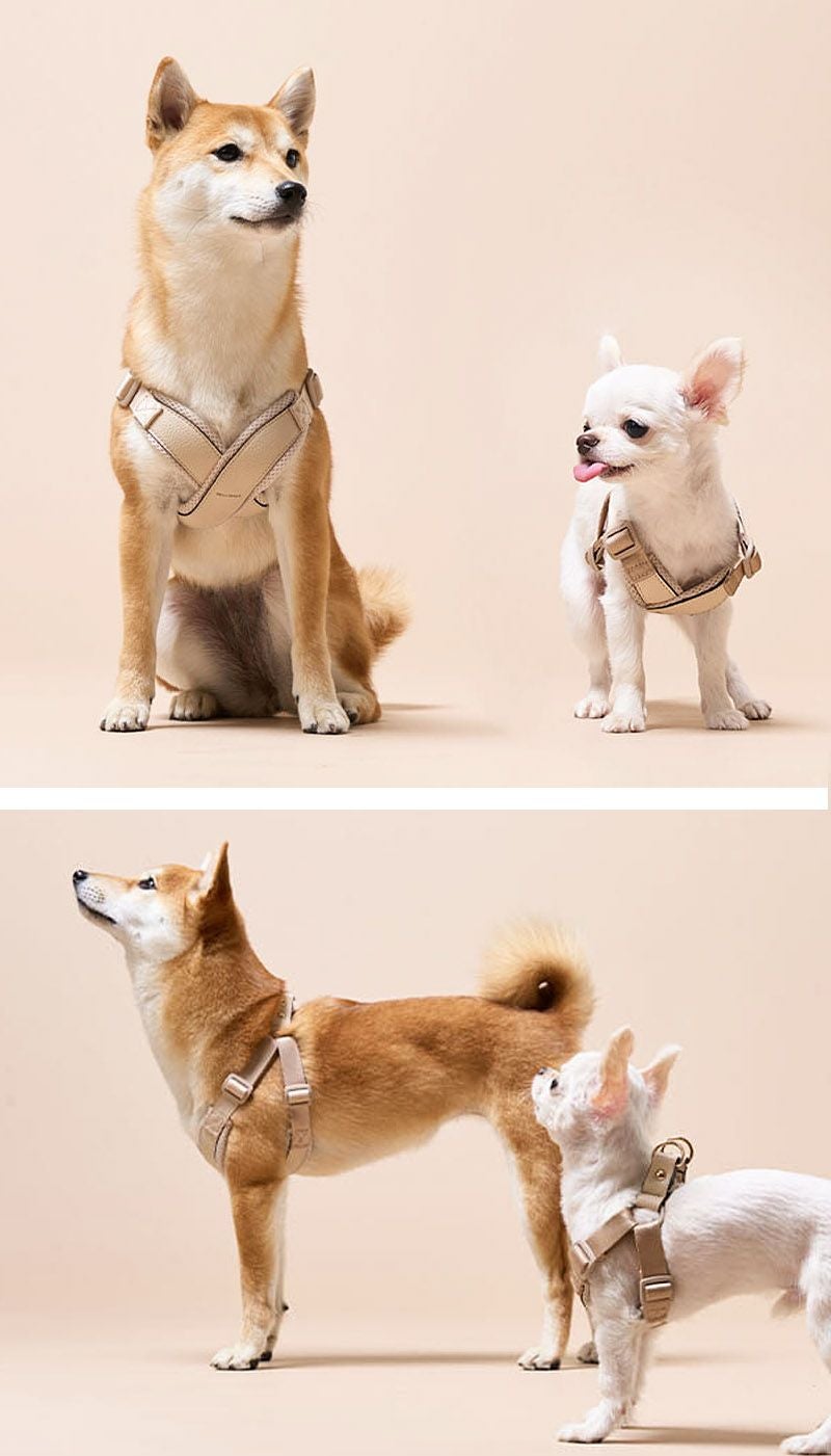 MILLIONG ハーネス S | TOZAI NANBOKUYA