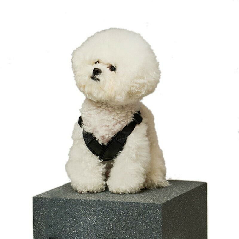 MILLIONG ハーネス S | TOZAI NANBOKUYA