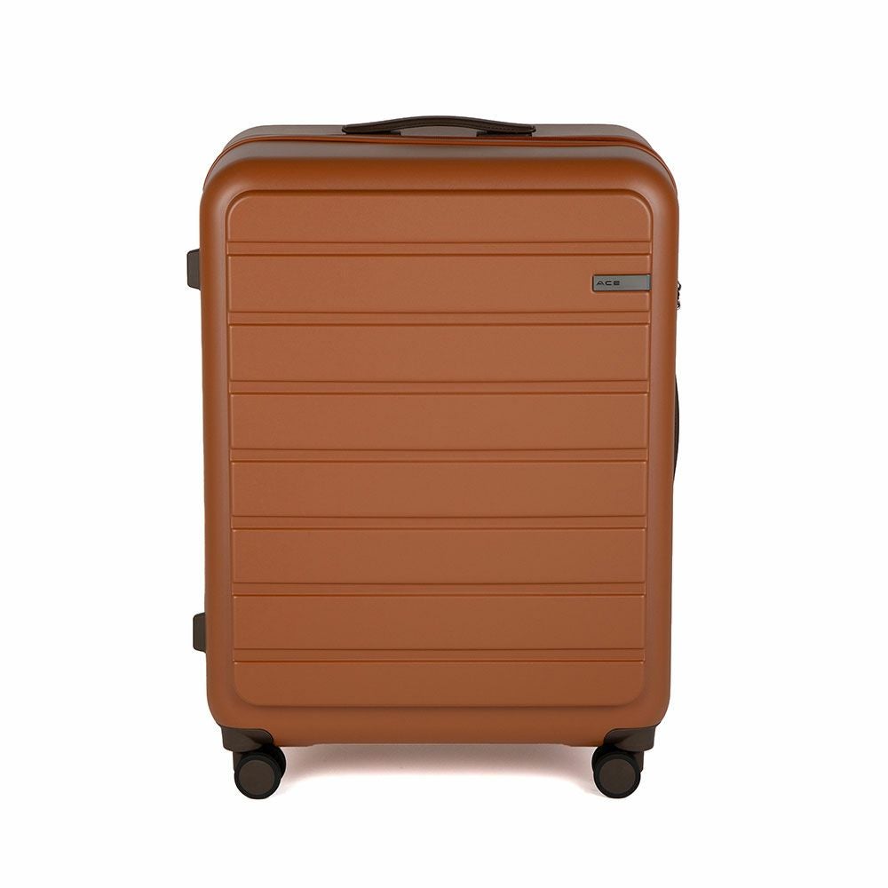 ace. フレットボード スーツケース 100L | TOZAI NANBOKUYA