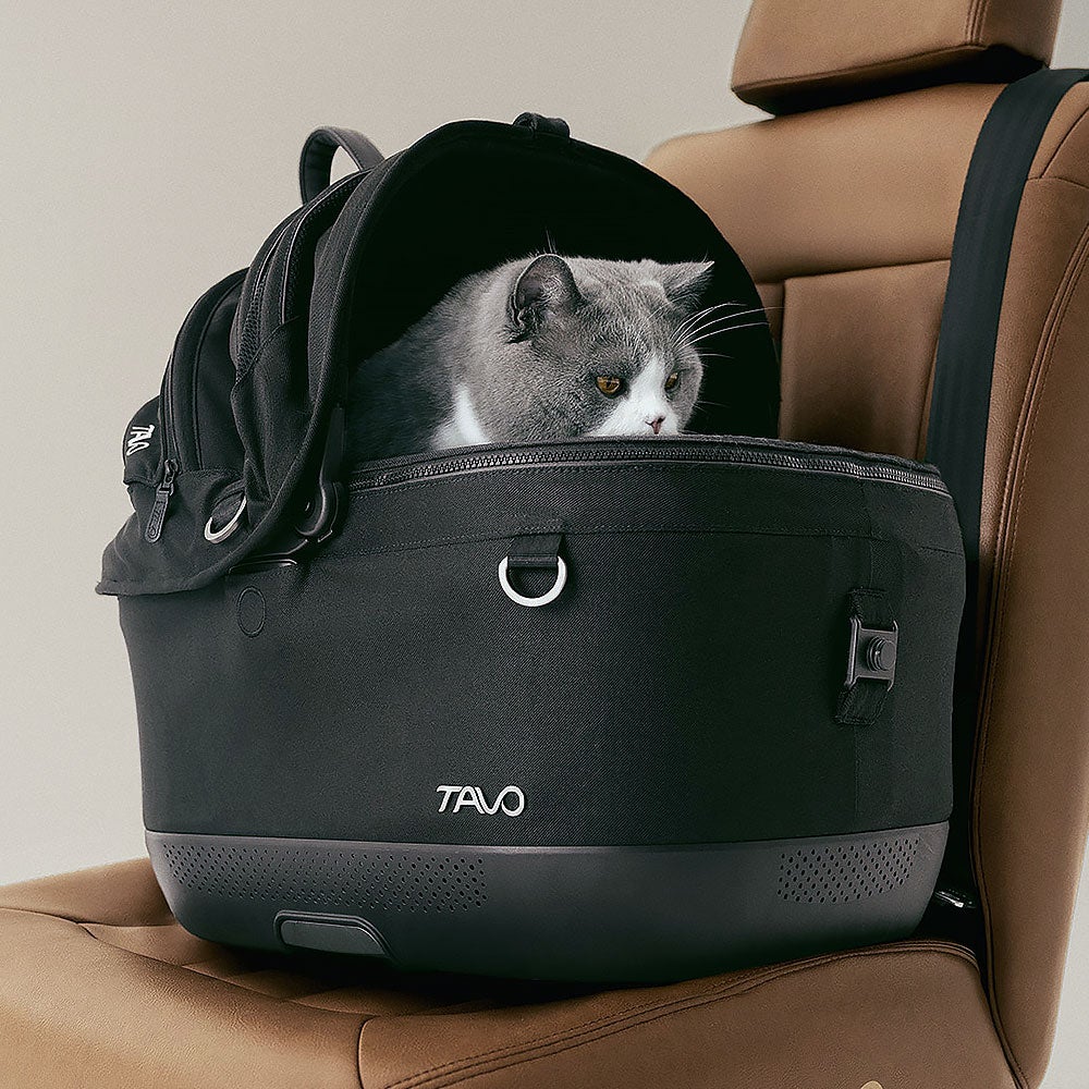 TAVO Maeve(TM) iso Wind + Roscoe(TM) ペットキャリーバッグ＋ペット